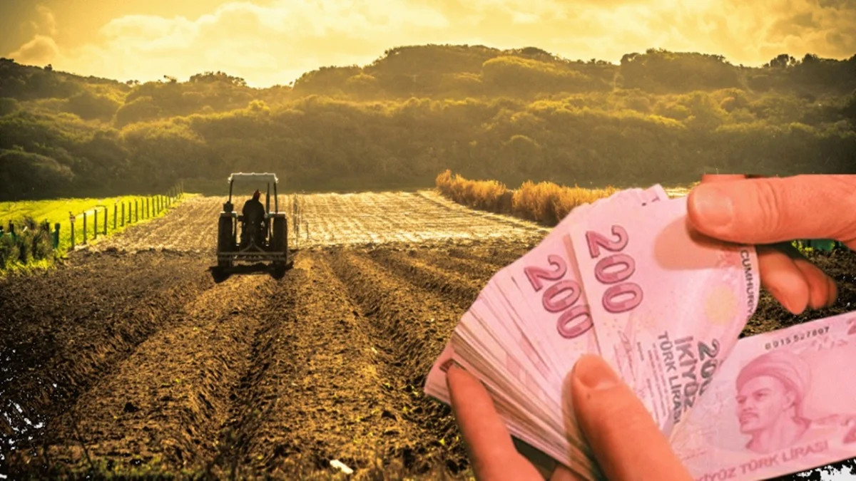Çiftçi Beklediği Ödemeye Kavuştu: Bu Ayın Tarım Destekleri Hesapta - Ekonomi Haberleri